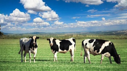 Mengenal Sejarah Agrikultur di Dunia