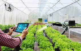 BERIKUT 7 PERTANIAN MODERN DENGAN SMART FARMING 