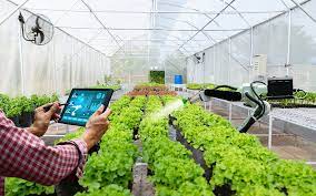 Berikut 7 Kemajuan Teknologi Pertanian Di Dunia