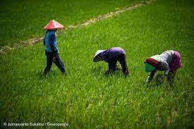 8 Tantangan Agrikultur Yang Di Hadapi Malaysia
